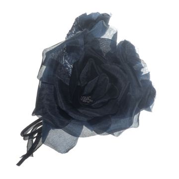 Pitch Blue Rose