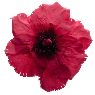 Raspberry Flower