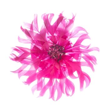 Magenta Feather Flower