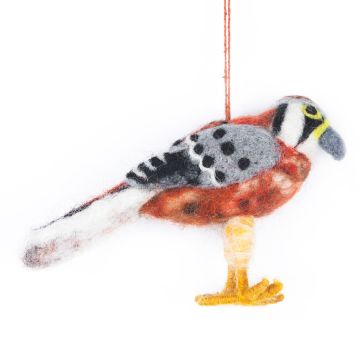 Felt Kestrel