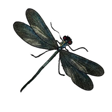 Marine Dragonfly Motif