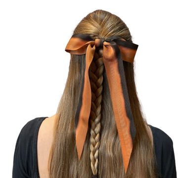 Red Squirrel Ombre Bows
