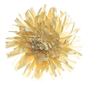 Clotted Cream Fabric Flower