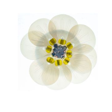 White Flower
