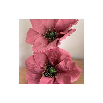 Vintage Blusher Giant Poppy