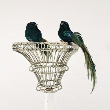 Green Feather Bird