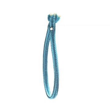 Delphinium Russia Braid