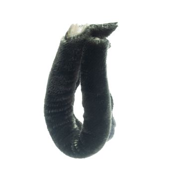 Flint Giant Velvet Piping