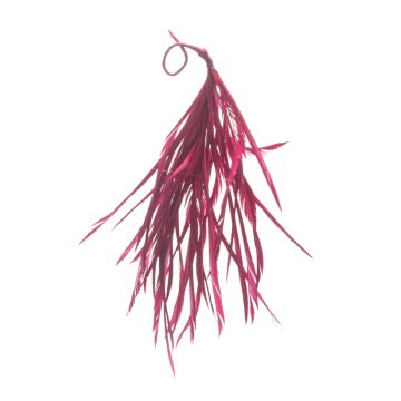 Old Fuchsia Feather Mount