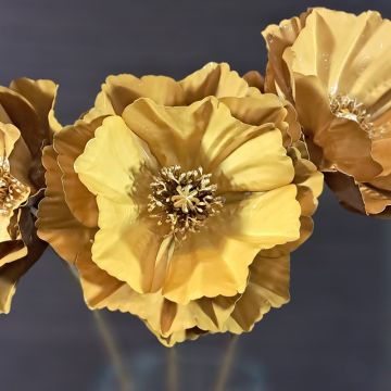 Gold Poppy