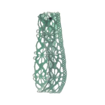 Moroccan Mint Tea Coloured Lace 15mm