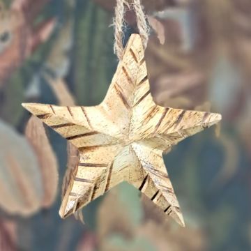 Wooden Star