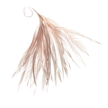 Pale Peonie Feather Mount