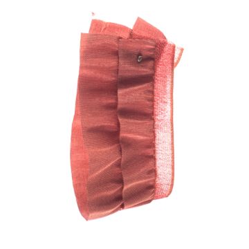 Penstemon Garnet Layered Frill