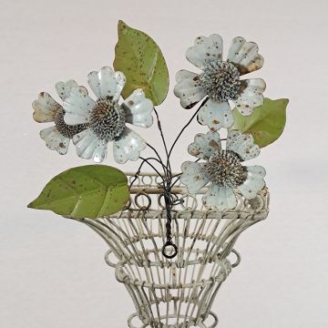 Periwinkle Scabious bunch