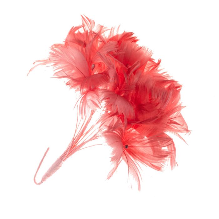 Coral ostrich on sale feathers